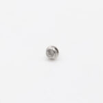 ICE - Screw #23