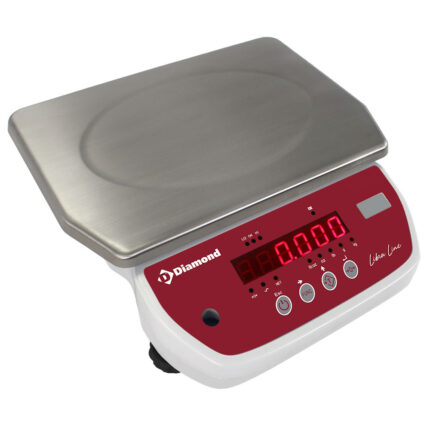 Stainless steel electronic scale, 30Kg x 5g