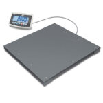 Floor scale, weighing range maximum 600 kg, readout 200 g