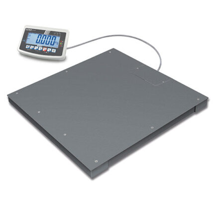 Floor scale, weighing range maximum 600 kg, readout 200 g