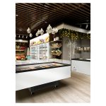 Insulă frigorifică orizontală comercială Mondial seria OASI M (-25°C -18°C), Italia - imagine 3